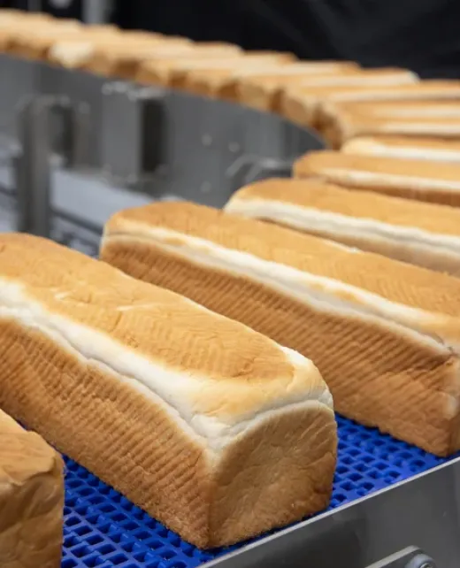 5010960_S2400_HDE-26